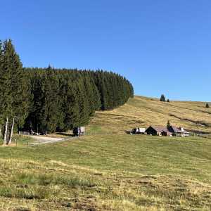 Image IMG_9737